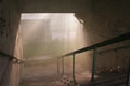 Lost Grounds